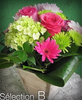 Compositions florales simples - Sélection B