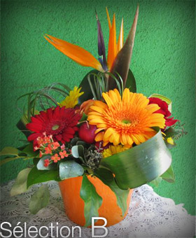Compositions florales raffinées - Sélection B