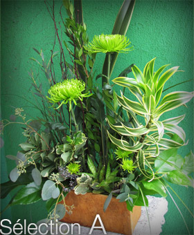 Compositions florales élégantes - Sélection A